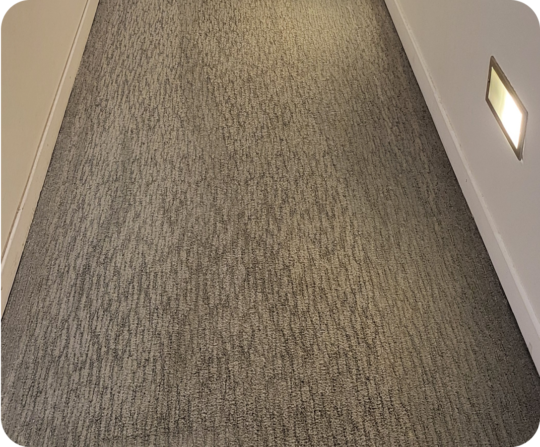 Nettoyage moquette Toulouse
