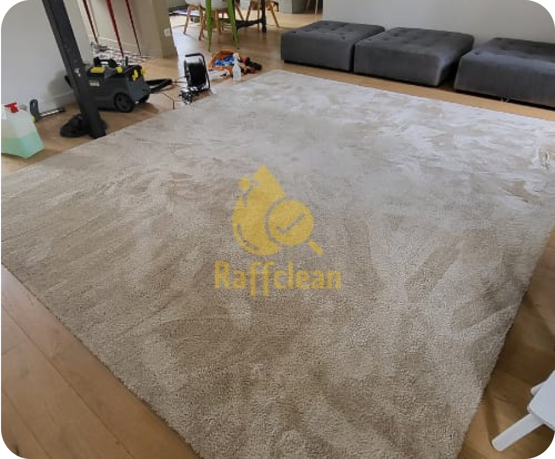 Nettoyage Tapis Toulouse