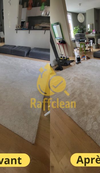 Nettoyage tapis toulouse